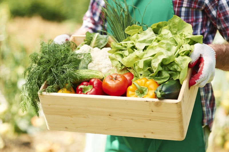 Compra productos de excelente calidad que ayuden al cuidado del medio ambiente y tu salud en thanksgiving.